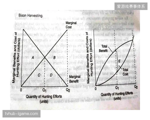 每张门票风控成本上涨15%，头部体育机构如何通过算法对齐收支平衡点？